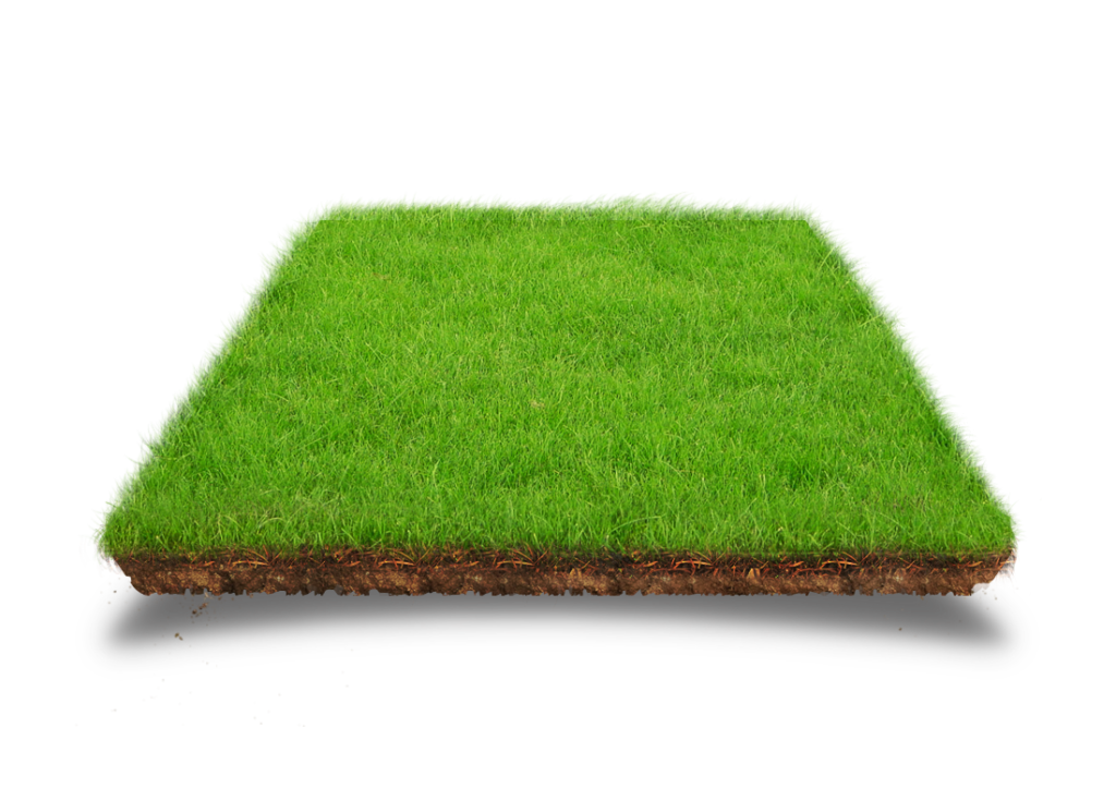Lawn Artificial turf