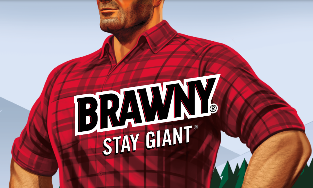 Brawny Paper Towels Guy